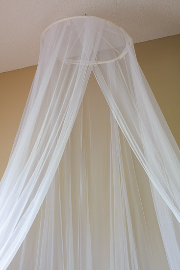 Mosquito Netting $15 