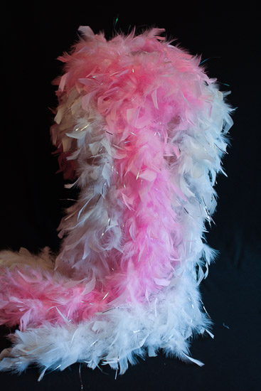 Pink and White Feather Boas (2) $8