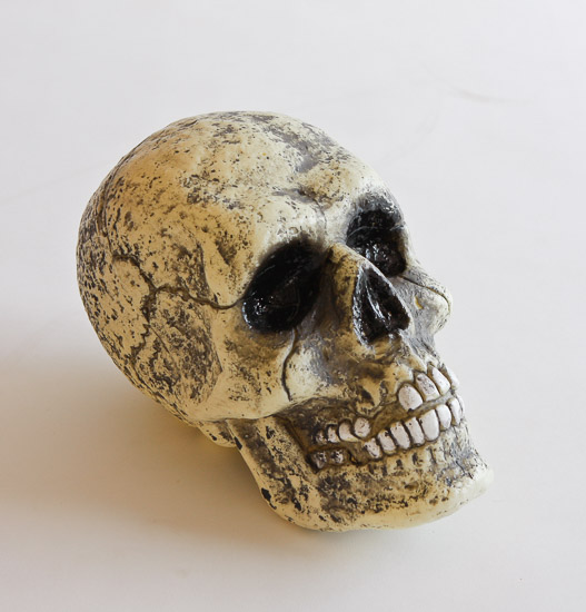 Plastic Skull