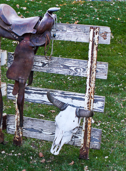 Western Saddle, Fence & Skull $100